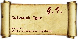 Galvanek Igor névjegykártya